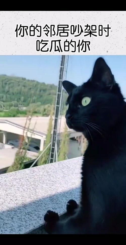 吃瓜邻居吵架,吃瓜群众围观一场激情吵架