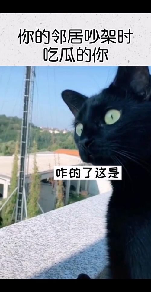 吃瓜邻居吵架,吃瓜群众围观一场激情吵架