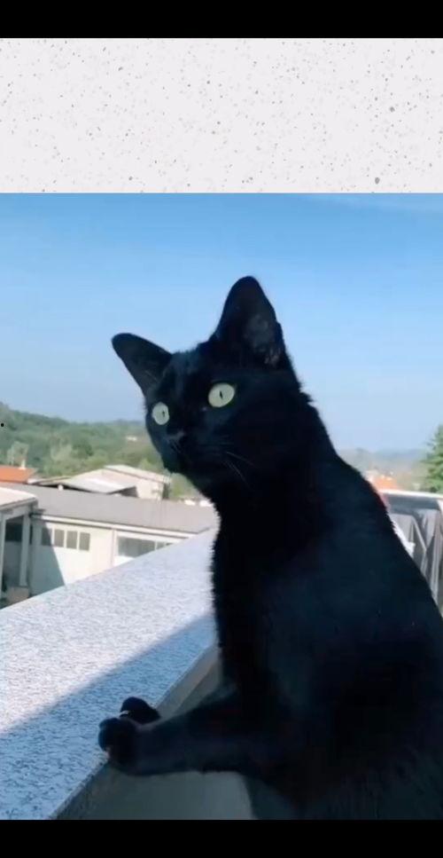 吃瓜邻居吵架,吃瓜群众围观一场激情吵架