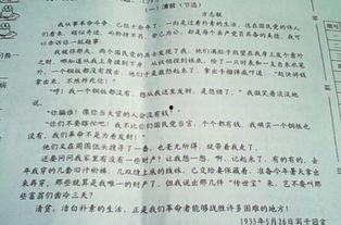 愚人吃瓜阅读答案,揭秘答案背后的趣味与智慧