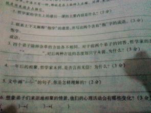 愚人吃瓜阅读答案,揭秘答案背后的趣味与智慧