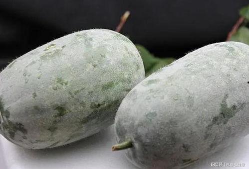 吃瓜第38天,热点事件背后的真相与反思