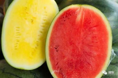 再吃这个瓜图片,网络热议背后的真相与反思