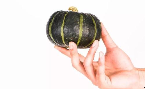 小瓜宝宝怎么吃,探索健康美味的新吃法