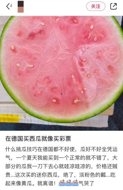 外国怎么吃瓜,各国独特的瓜类美食探索