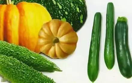 吃瓜午休,轻松一刻,品味生活百态