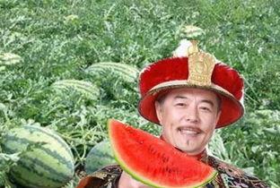 吃瓜第一线 瓜农