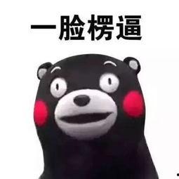 吃瓜表情头像搞笑,吃瓜表情头像的欢乐盛宴