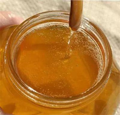 吃瓜沥可以喝蜂蜜水吗,蜂蜜水是甜蜜的伴侣吗？