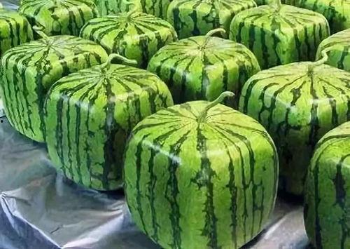 吃瓜多年什么意思,网络时代下的围观文化现象